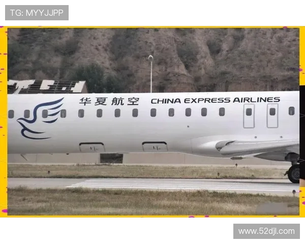 支线客机在偏远地区航空网络的作用