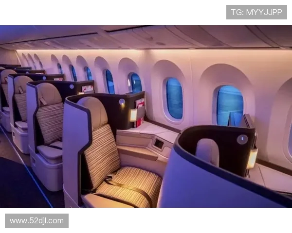 飞机客舱内部空气的流场分布仿真